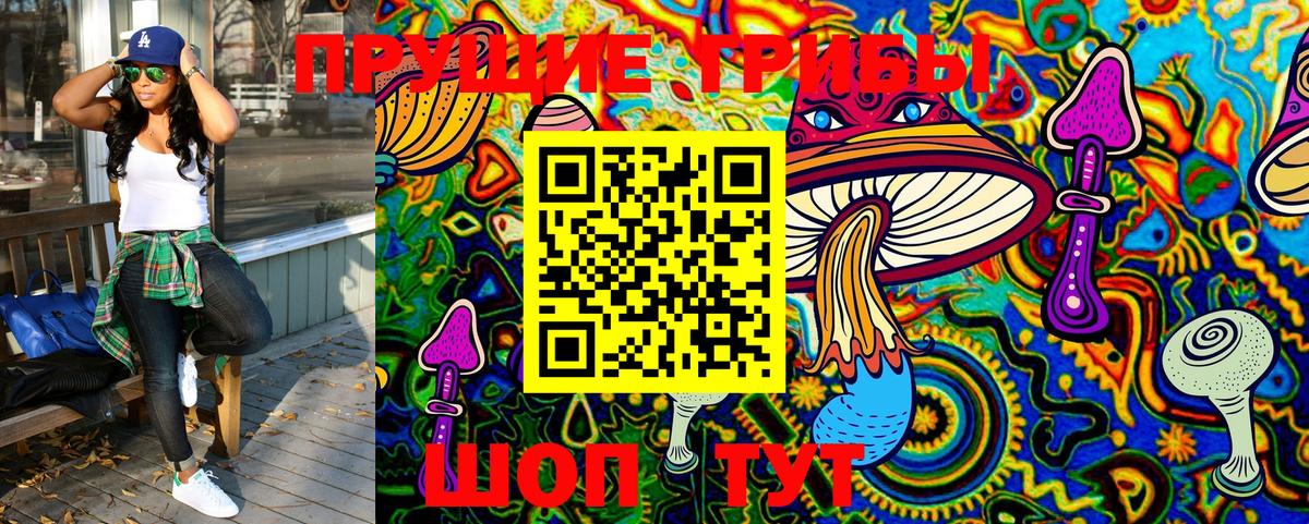 хочу наркоту  Псилоцибиновые грибы GOLDEN TEACHER  Вход с VPN  Новотроицк 